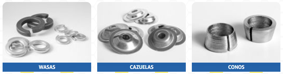 Mundial de Tornillos · Categoría Wasas